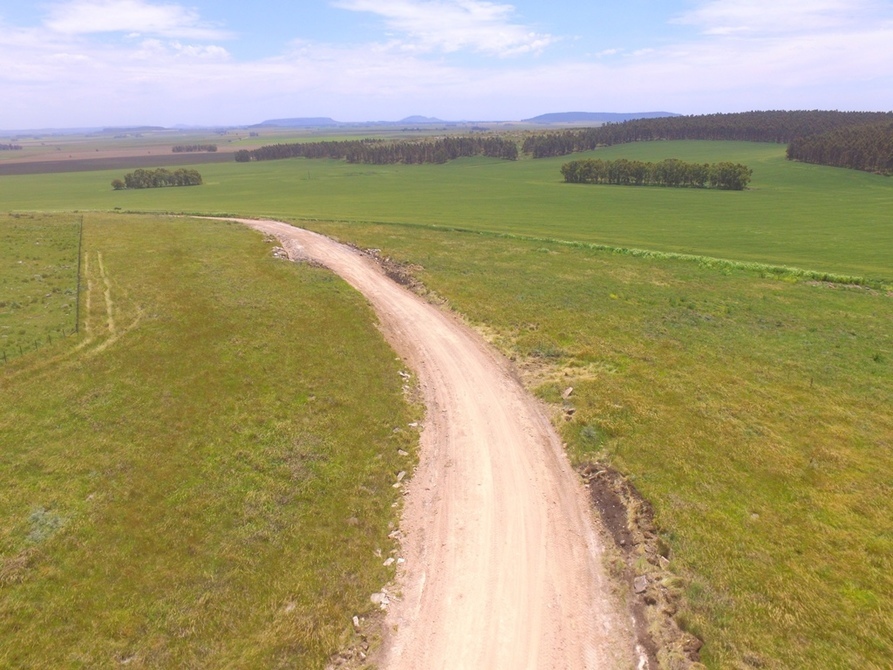 Noticias Mejoran camino de Los Pinos Diario La Vanguardia