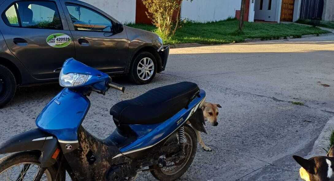 Choque entre un auto y una moto: una mujer fue hospitalizada | Noticias ...